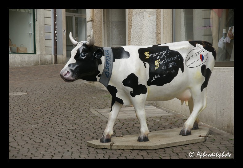 34  Enseigne de restaurant